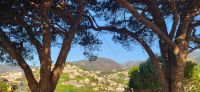 51 Ausblick Pico dos Barcelos