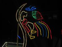 Lichterfahrt in Funchal