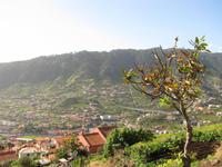 Blick während der Levada-Wanderung