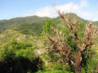 Blick während der Levada-Wanderung