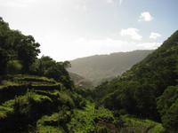 Blick während der Levada-Wanderung