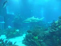 50qmÂ³ großes Wasserbecken