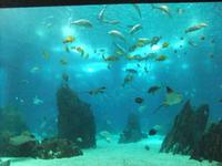 50qmÂ³ großes Wasserbecken