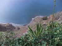 am Cabo Girao - die höchste Felsenklippe Europas