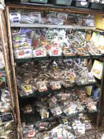 Auswahl von Blumenzwiebel