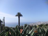 im Botanischen Garten von Funchal