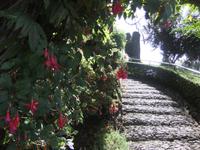 Blumenpracht im Botanischen Garten