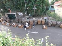 Korbschlitten fahren - das Highlight