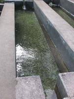 Forellenzucht in Ribeiro Frio