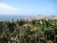 im Botanischen Garten von Funchal