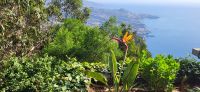 57 Ausblick von Cabo Girao