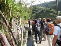 Wanderung entlang der Levada von Marocos 