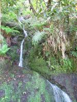 Wanderung im Rabacal 