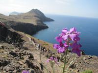 Wanderung zur Ostspitze