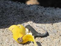 Wanderung zur Ostspitze