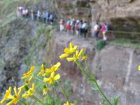 Wanderung - Pico Airero - Pico Ruivo