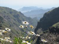 Wanderung - Pico Airero - Pico Ruivo