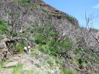 Wanderung - Pico Airero - Pico Ruivo