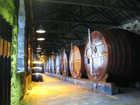 Porto - In der Portweinkellerei Burmester
