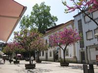 Braga - Fußgängerzone