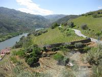 Ein erster Blick in's Douro-Tal