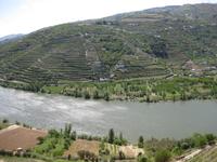 Weltkulturerbe der UNESCO - Weinanbaugebiet Douro-Tal