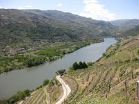 Weltkulturerbe der UNESCO - Weinanbaugebiet Douro-Tal