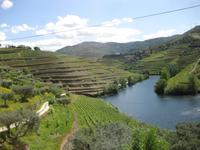 Blick von der Quinta do Tedo auf einen Nebenfluss des Douro