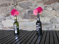 Verkostung in der Quinta do Tedo