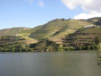 Blick aus dem Zug auf das andere Ufer des Douro