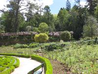 Parque Nacional do Bucaco