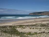 Naturschutzgebiet an der Atlantikküste