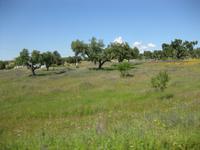 Wir fahren in Richtung Süden