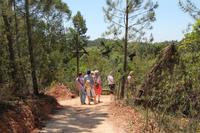 Spaziergang im Parque da Mina im Hinterland der Algarve &ndash; &copy; Kristin Weigel (Eberhardt TRAVEL)