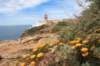 Cabo de Sao Vicente mit Leuchtturm &ndash; &copy; Kristin Weigel (Eberhardt TRAVEL)
