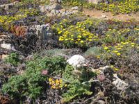 Vor der Fortaleza von Sagres