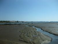 Ebbe an der Atlantikküste der Algarve