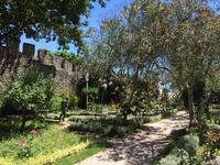 588 Burg von Tavira