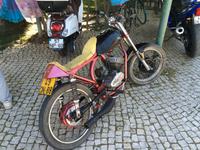 596 Oleao