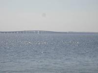 die 17 Km lange Vasco da Gama- Brücke