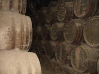 Blick in einen Weinkeller