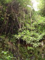 Levada Wanderung in Marocos