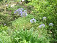 Levada Wanderung in Marocos - 