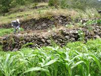 Levada Wanderung in Marocos