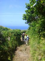 Wanderung auf Flores