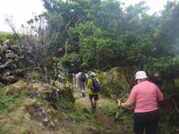 Wanderung auf Flores