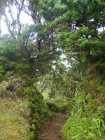 Wanderwege auf Sao Jorge