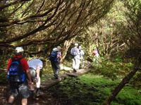Wanderung Misterios Negros auf Teiceira