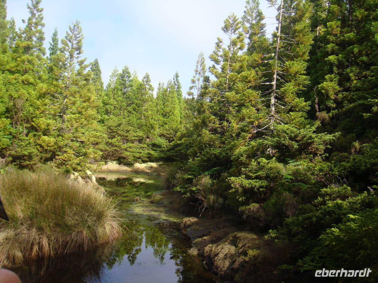Wanderung Misterios Negros auf Teiceira