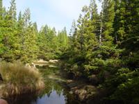 Wanderung Misterios Negros auf Teiceira